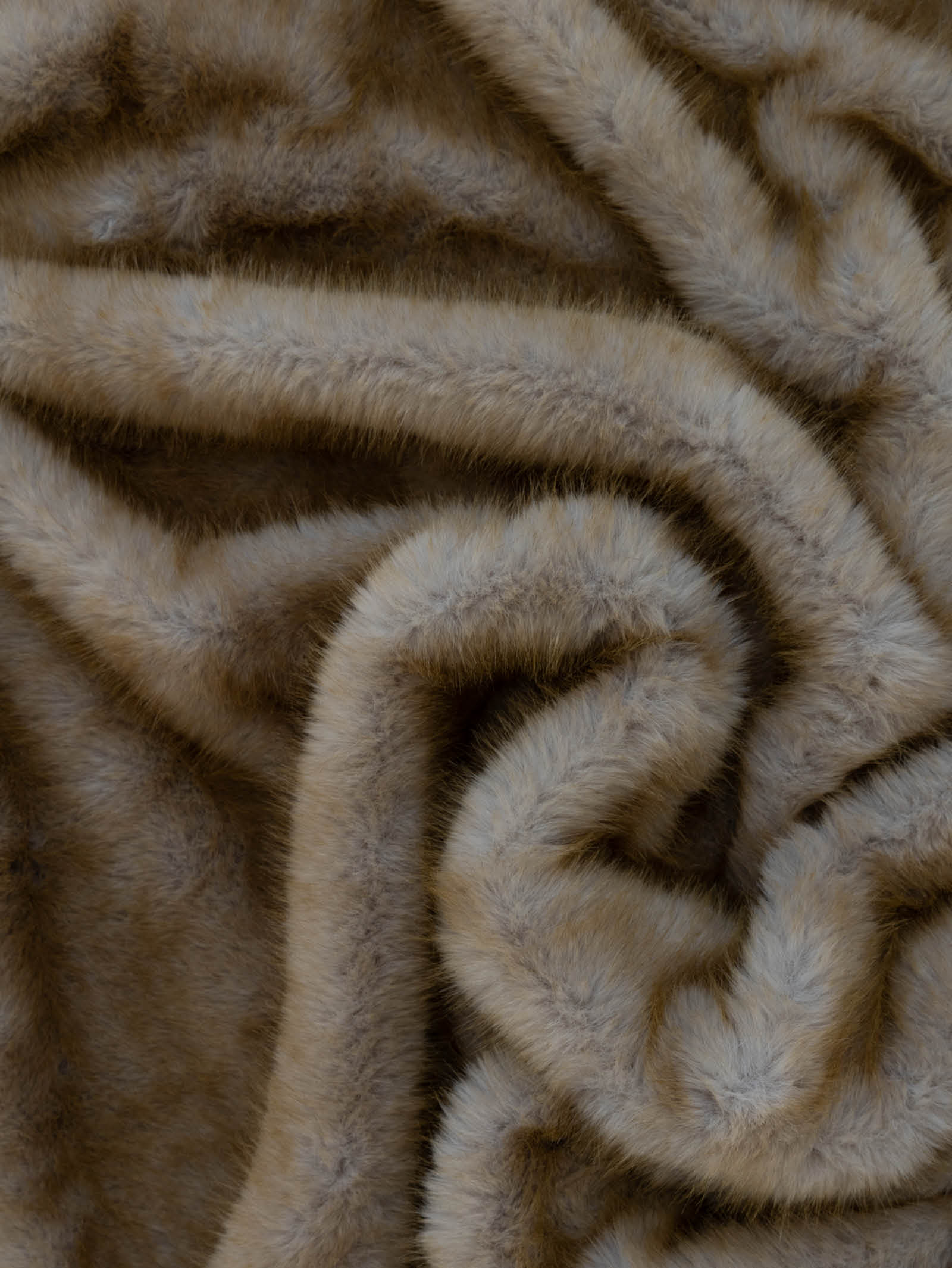 Caracul Fur in Savanna