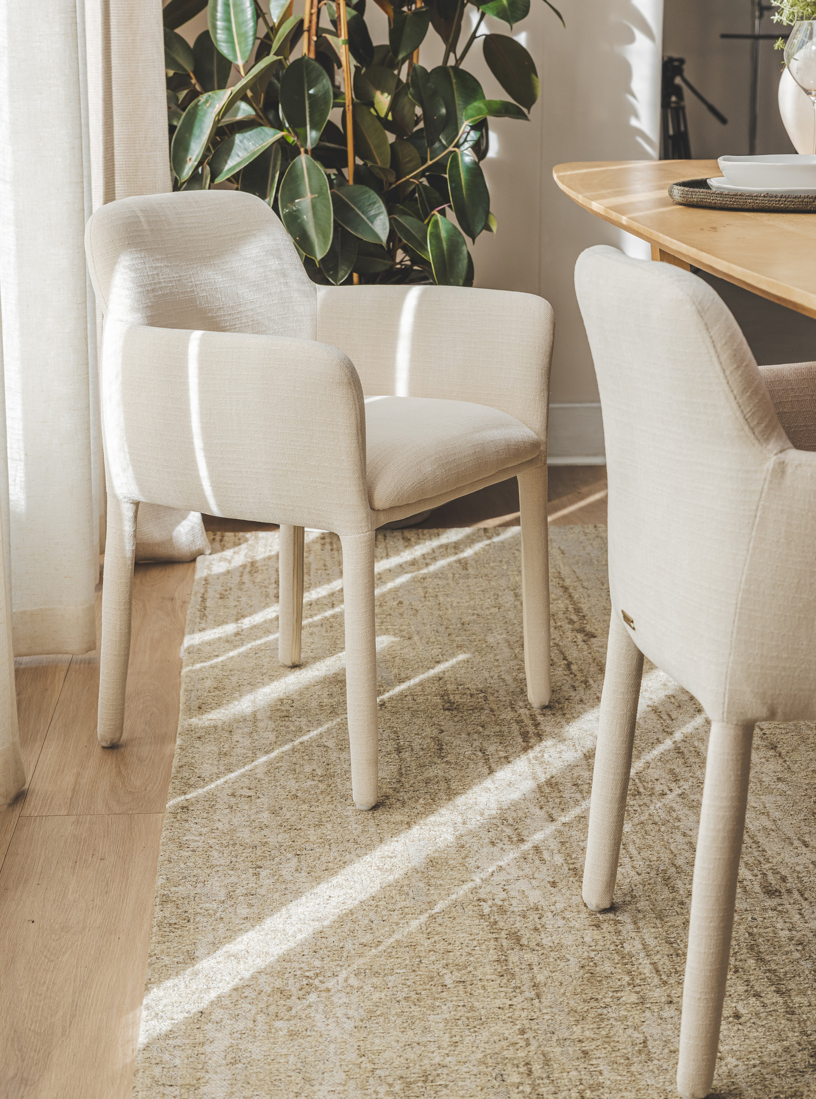 Sistine Dining Chair
