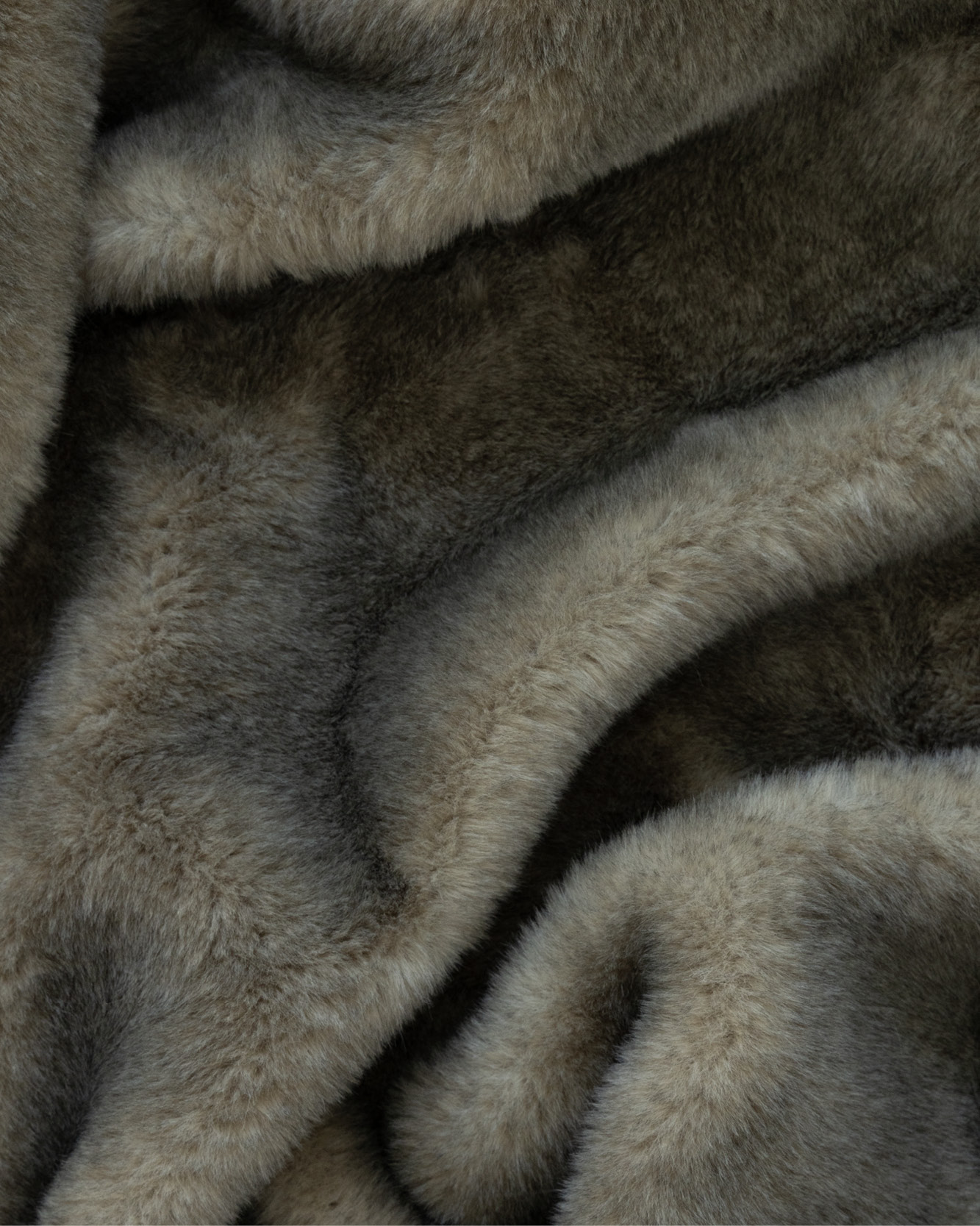 Greenland Fur in Forest
