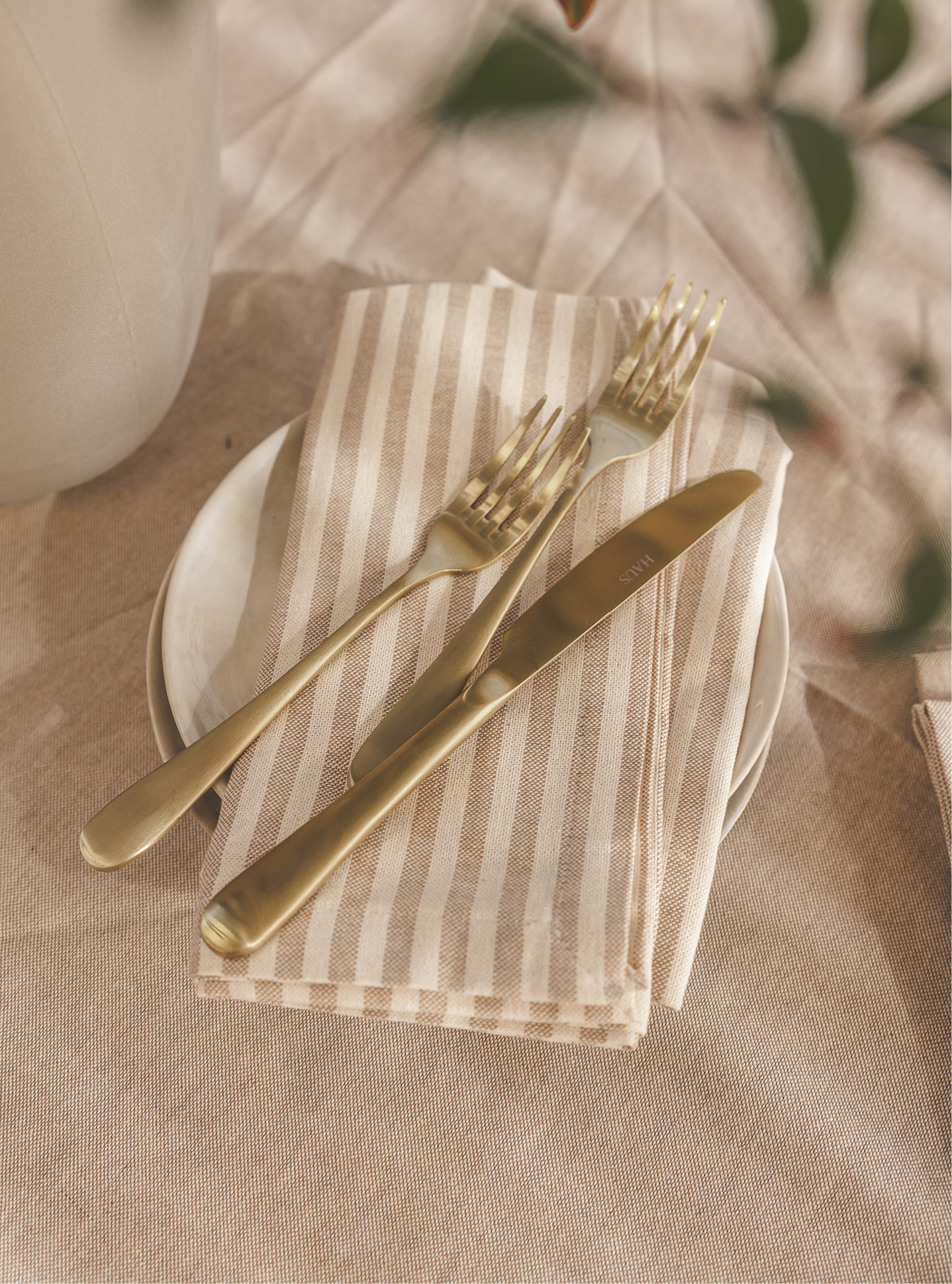 Napkin