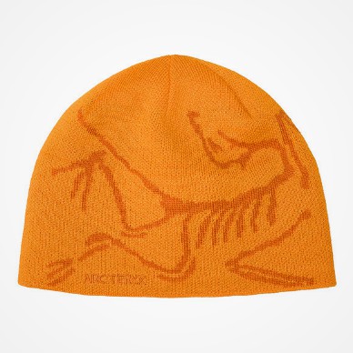 Arc'teryx - Bird Head Toque