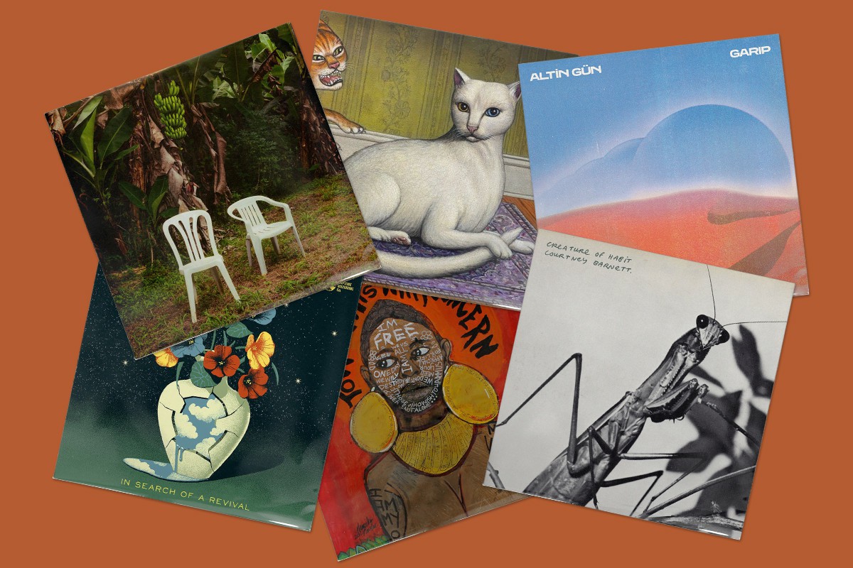 Release Highlights: February 2026