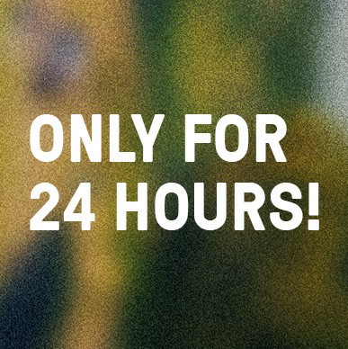 Spring Deal Kachel 12 (24 Hours)