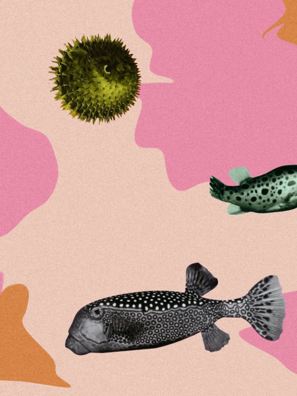 In The Fishtank (HHV-Mag)