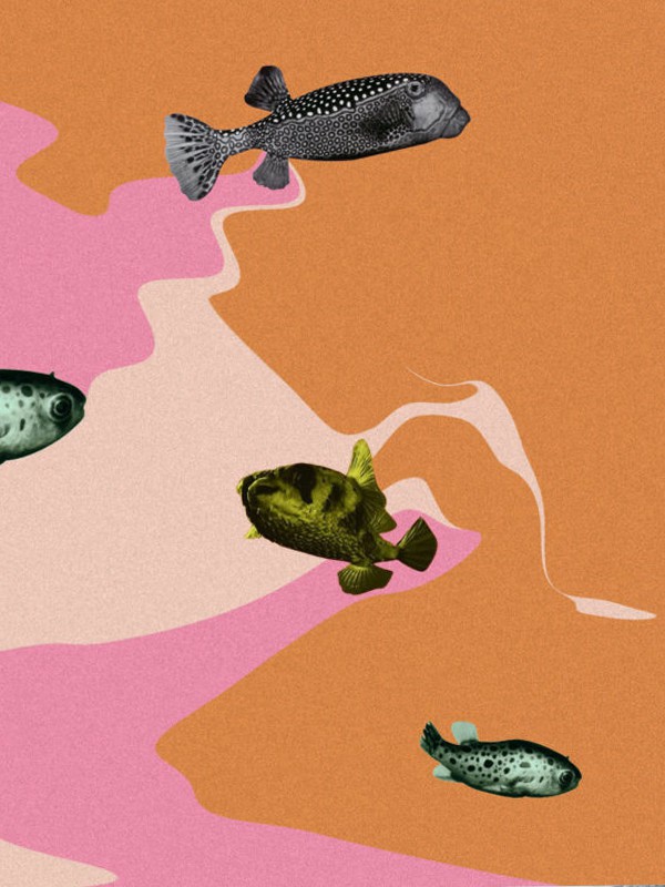 In The Fishtank (HHV-Mag)