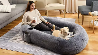 Human Sized Dog Bed Only $99.98 on SamsClub (Comparable to Plufl But $200 Less)