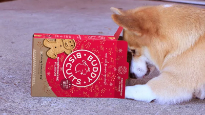 Get 50% Off Holiday Pet Treats at Target – Stocking Stuffers for Cats & Dogs!