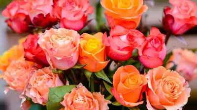 Up to 85% Off Groupon Valentine’s Day Gift Ideas | Long Stem Roses, Treats, & More