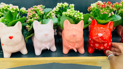 Valentine Frenchie Planters Only $10 at Target – Includes Calandiva Plant!