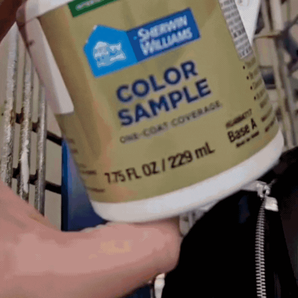 free paint samples