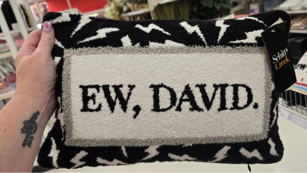 Pop Culture Throw Pillows Just $11.99 on Target.com (Great for College)