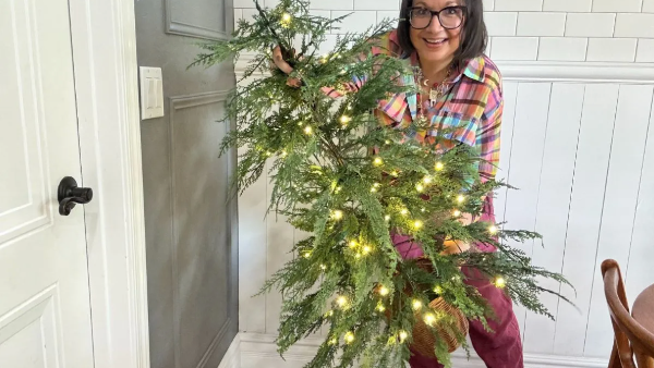 Viral My Texas House Cypress Tree Back In Stock!