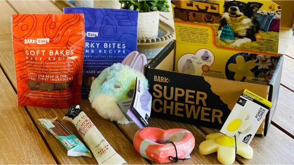 Dog toys in a box with treats and brocures