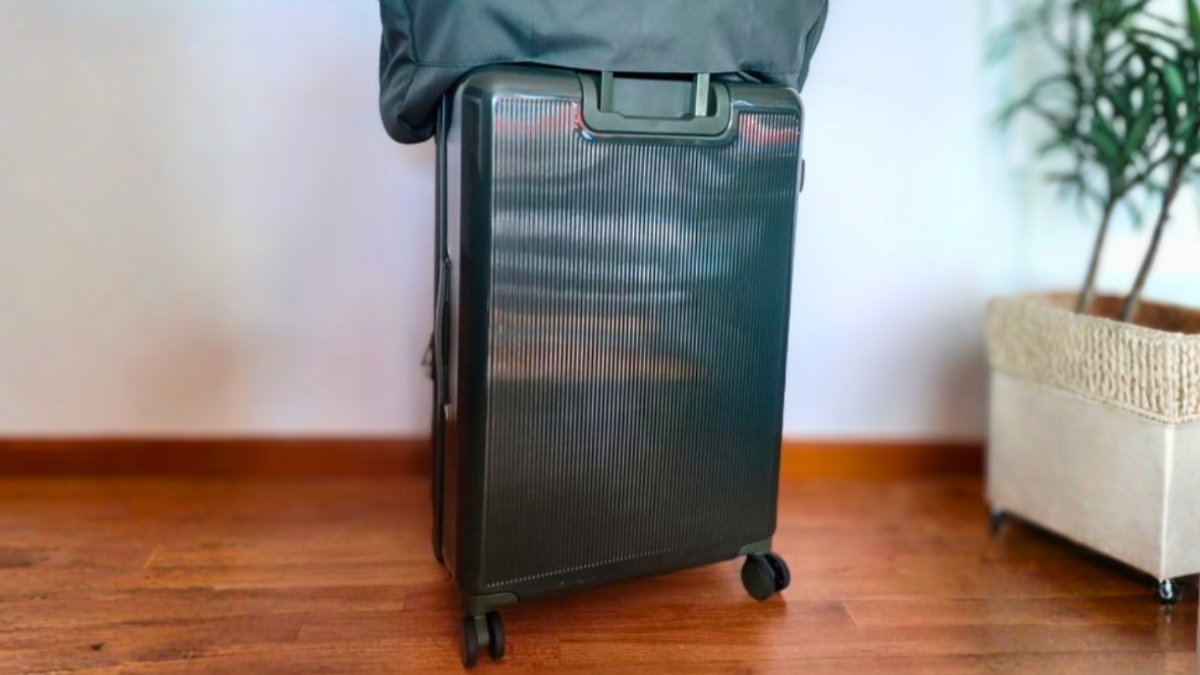 black hardside luggage next to plant