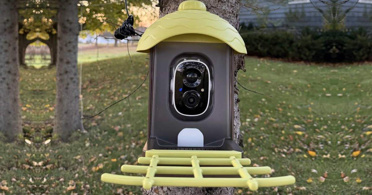 Smart birdfeeder attached to tree in backyard