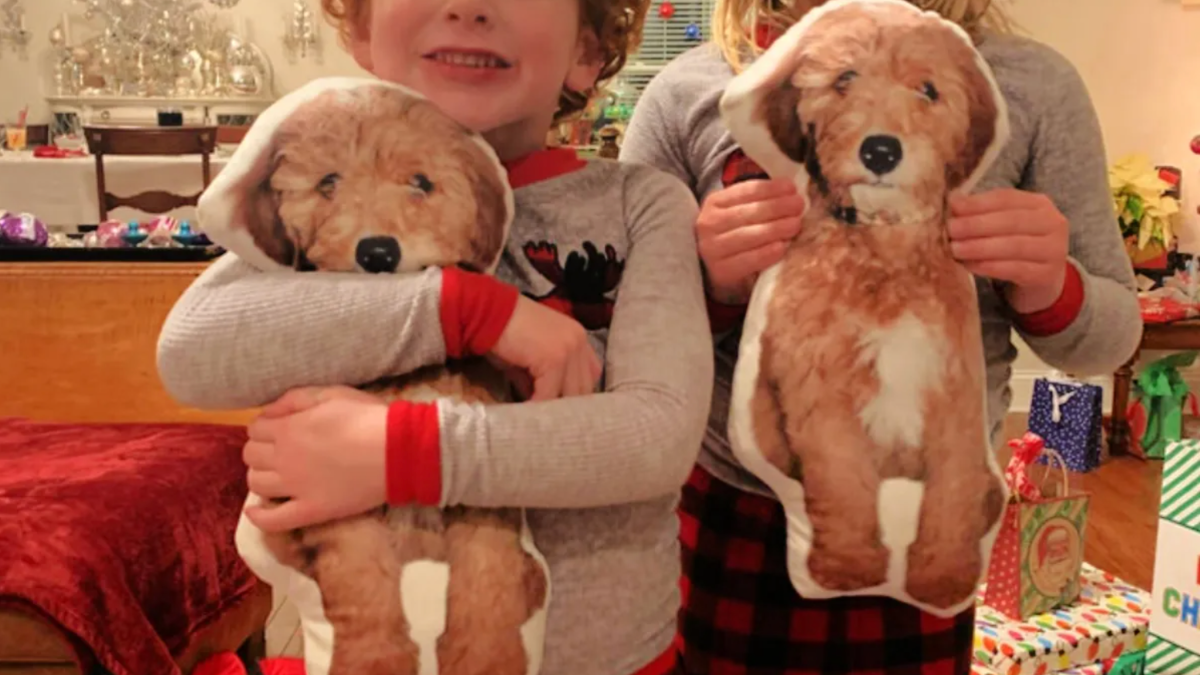Two small children holding up pet pillows shaped as dogs