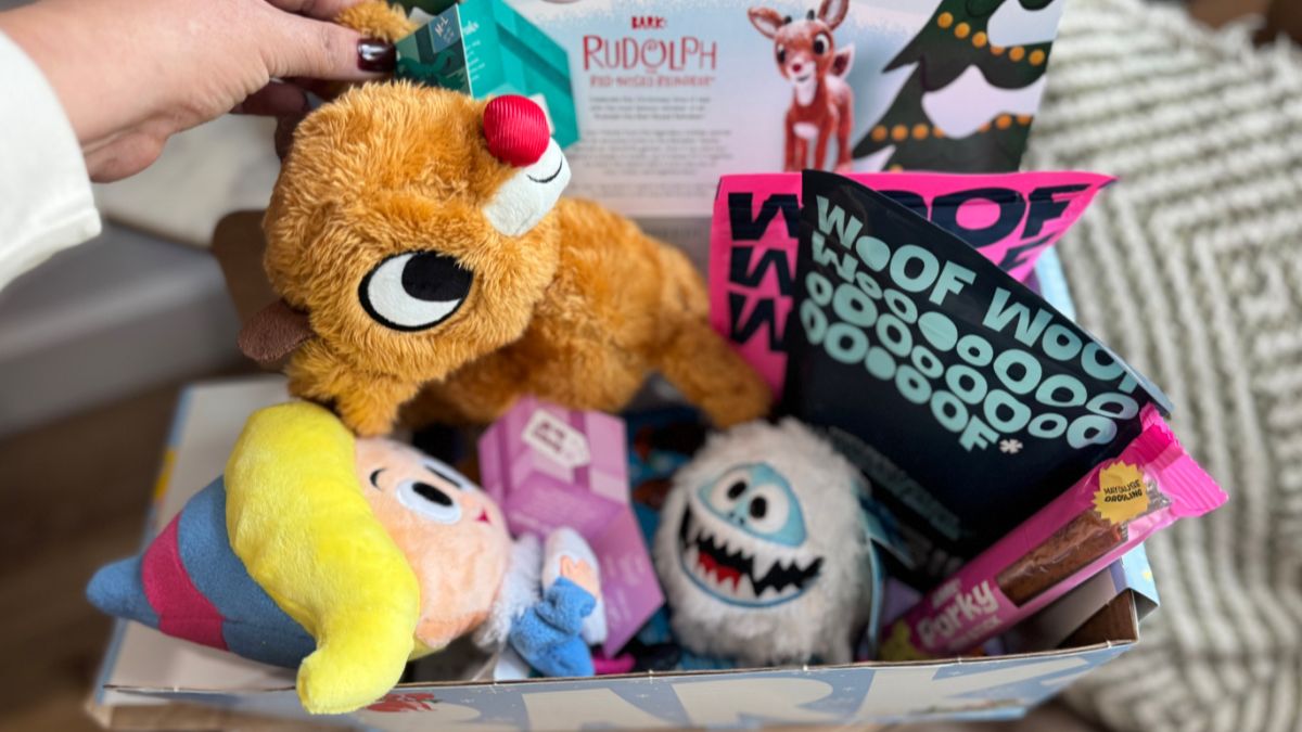 Christmas themed dog toys inside bark box