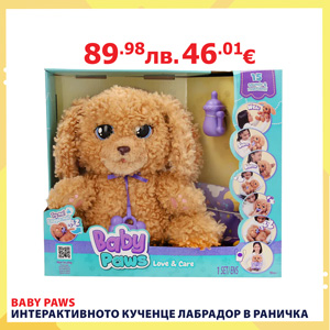 kuche-baby-paws-labradoodle