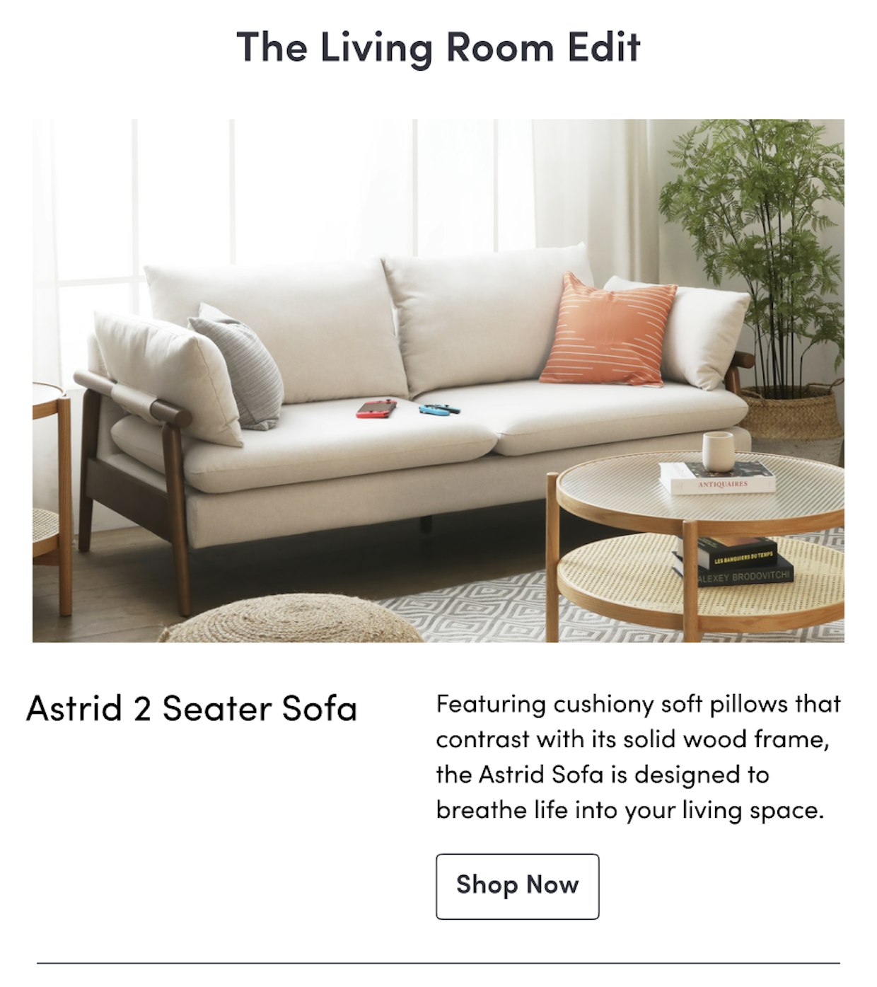 Astrid 2 Seater Sofa