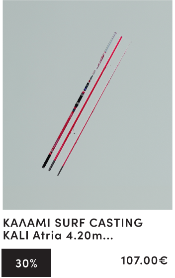 ΚΑΛΑΜΙ SURF CASTING KALI Atria 4.20m 100-250gr