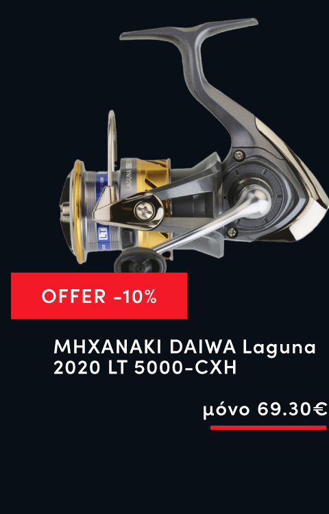 ΜΗΧΑΝΑΚΙ DAIWA Laguna 2020 LT 5000-CXH