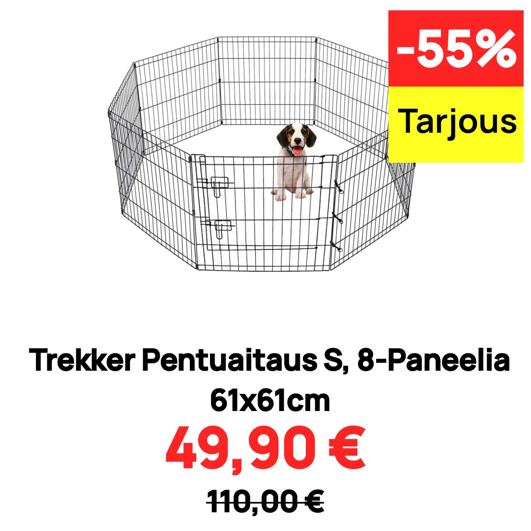 Image of Trekker Pentuaitaus S, 8-Paneelia 61x61cm