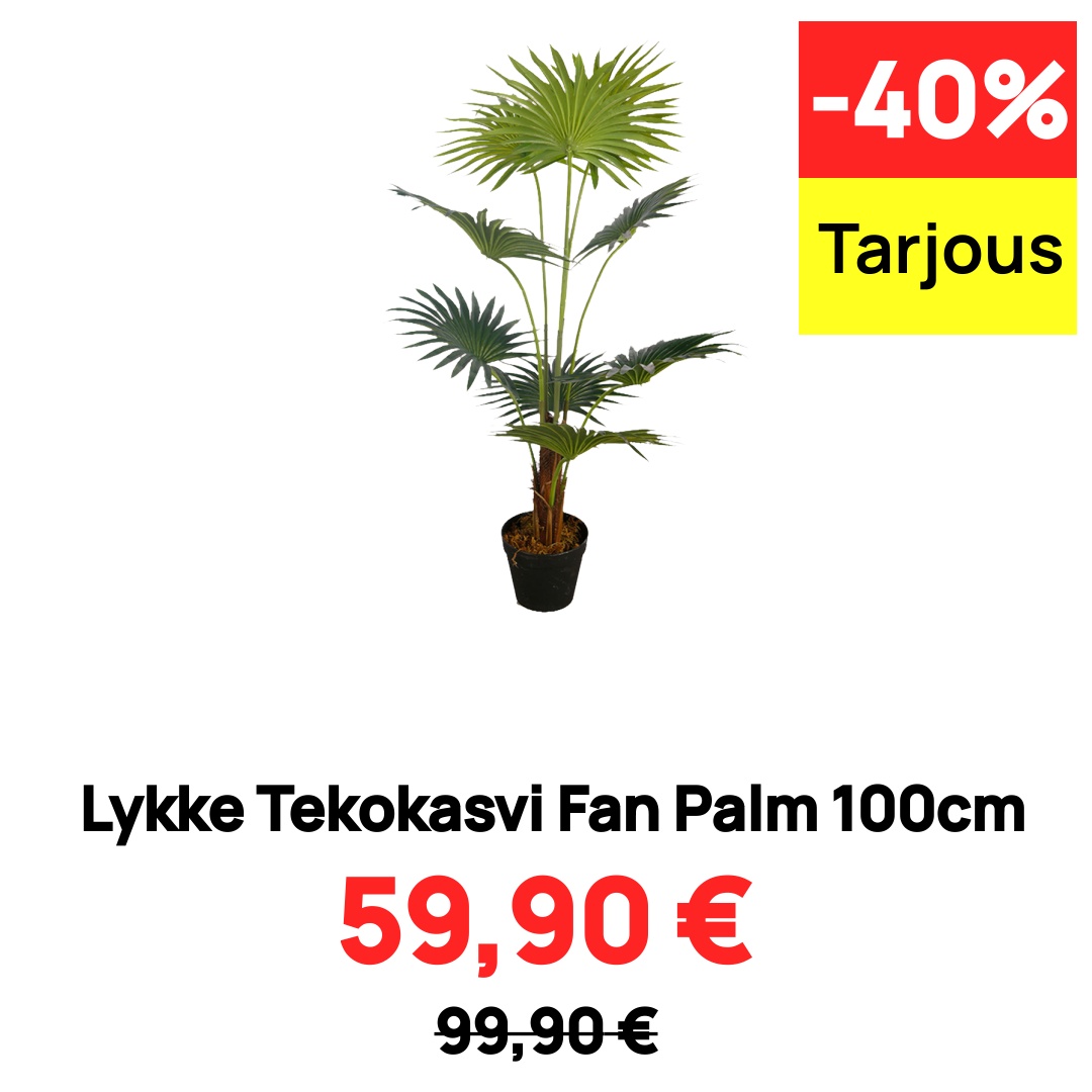 Image of Lykke Tekokasvi Fan Palm 100cm