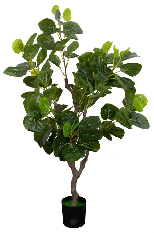 Image of Kunstig Polyscias Scutellaria Plante - Højde 110 cm - 1 stammet med grønne blade
