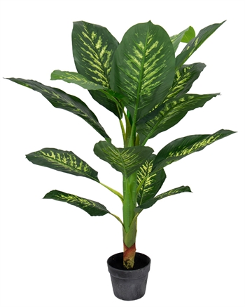 Image of Kunstig plante 90 cm høj - Dieffenbachia Tropic Snow med flotte store blade