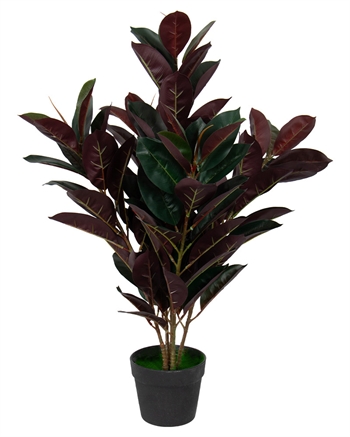 Image of Kunstig gummi plante 80 cm høj - Ficus elastica med rødlige blade