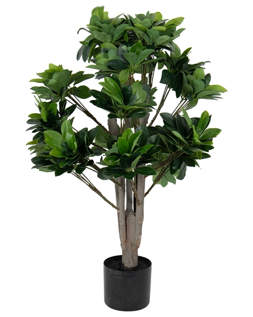 Image of Kunstig plante 90 cm høj - Grøn kunstig Schefflera plante med potte
