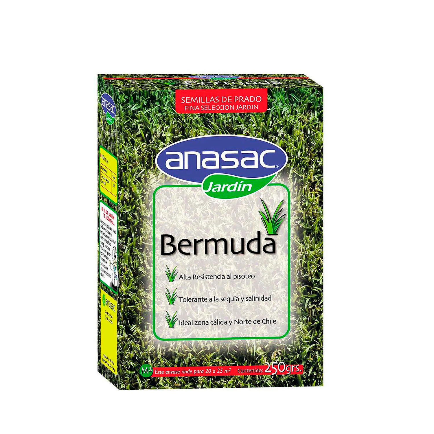 Image of Bermuda 250gr ANASAC