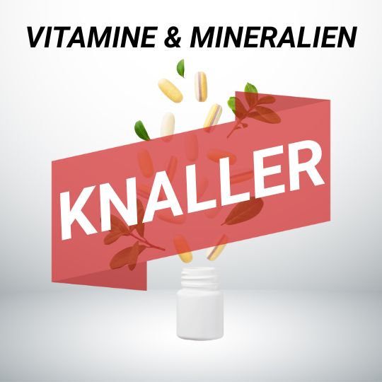 Knaller-Angebote