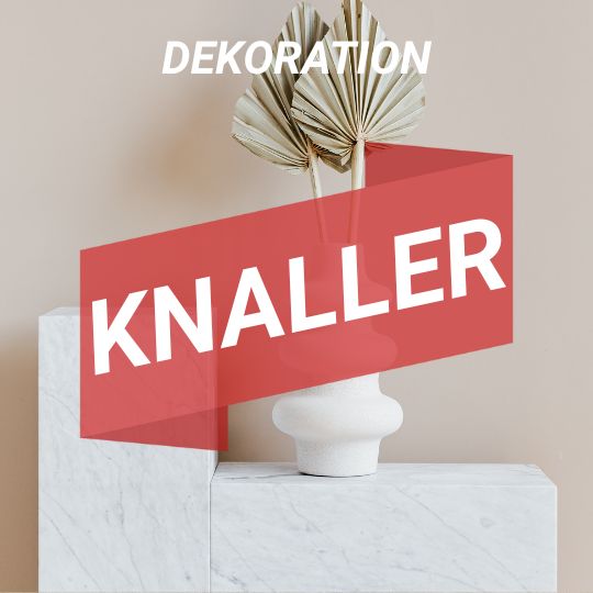 Knaller-Angebote