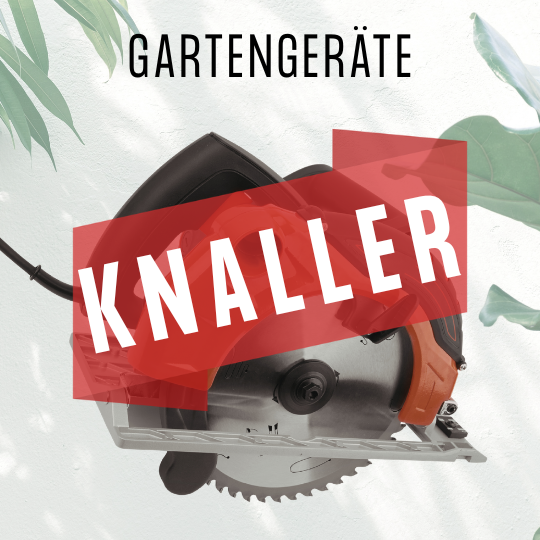 Knaller-Angebote