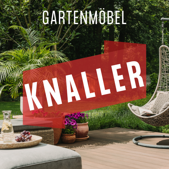 Knaller-Angebote