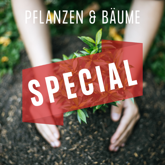 Special-Angebote