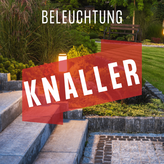 Knaller-Angebote