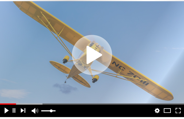 Hangar 9 J-3 Cub 10cc ARF & PNP Video