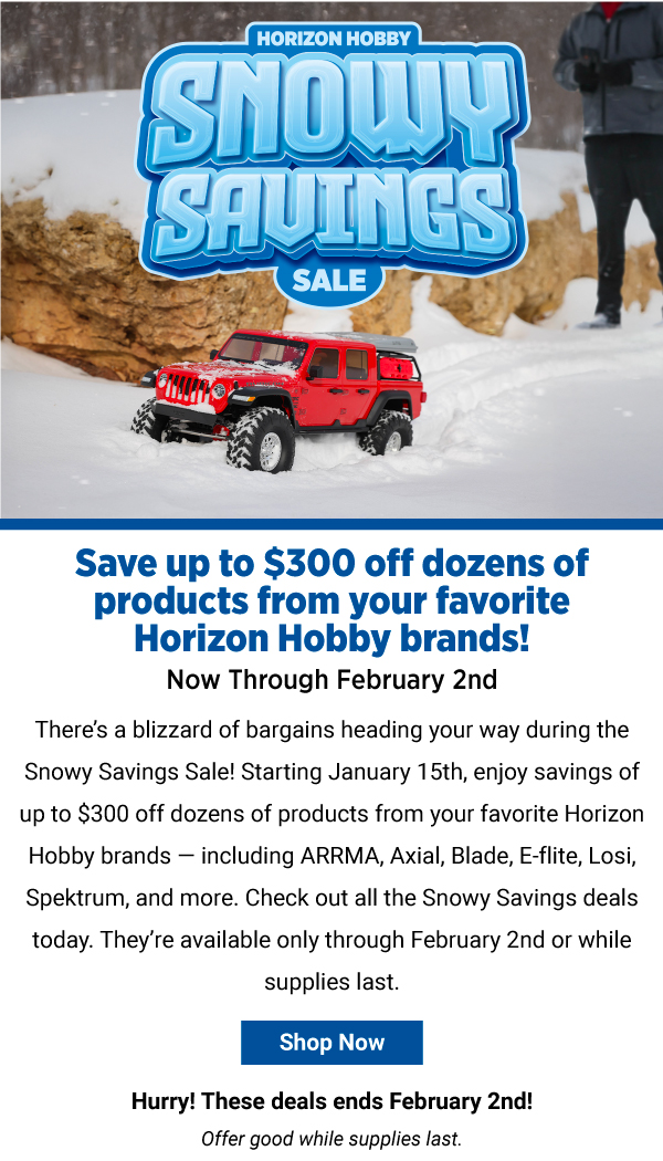 Snowy Savings Sale