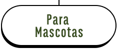 Mascotas