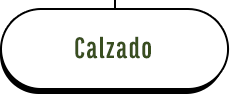 Calzado