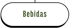 Bebidas