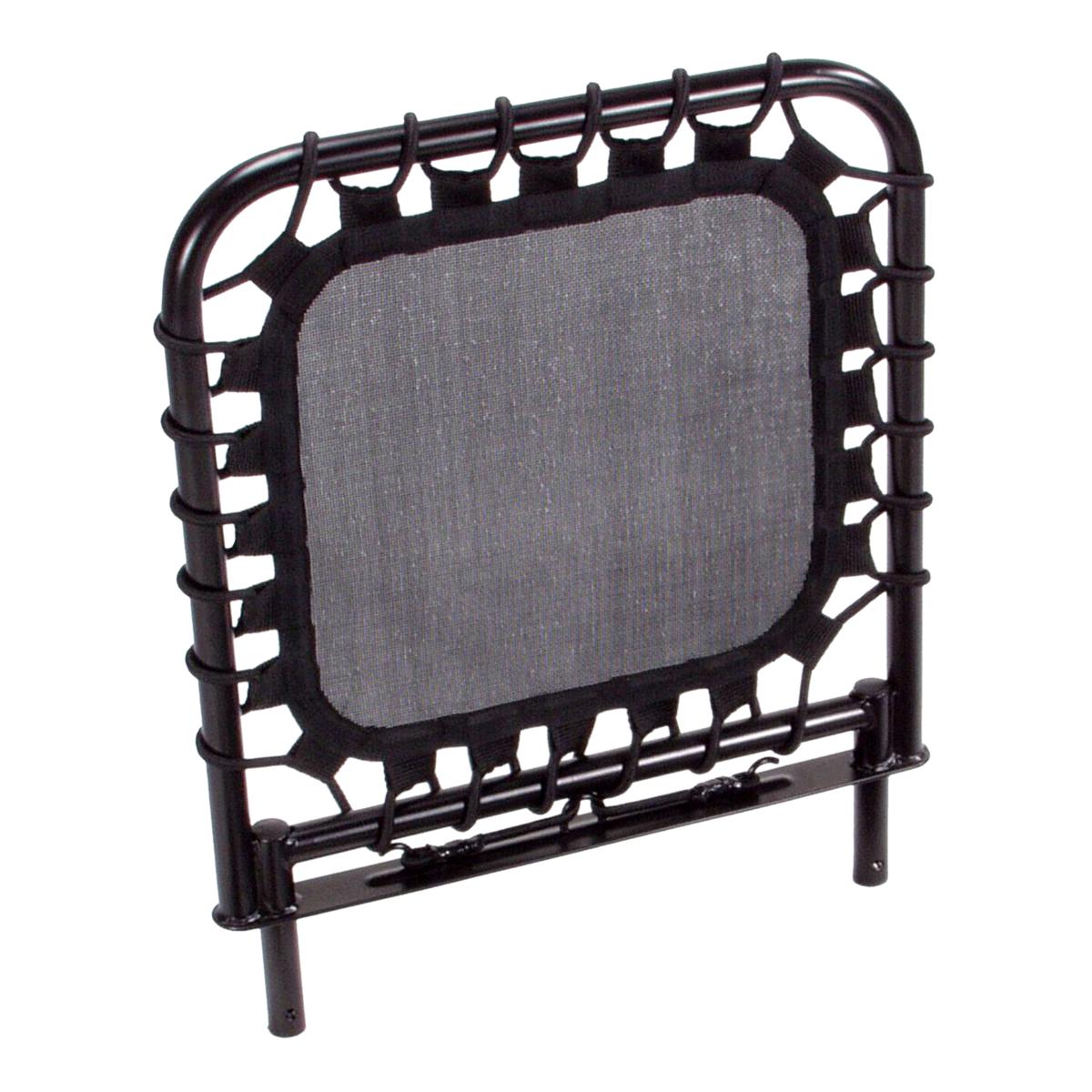 AeroPilates Cardio Rebounder