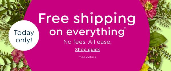 Free Ship
