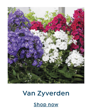 Van Zyverden