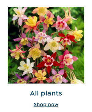 Plants