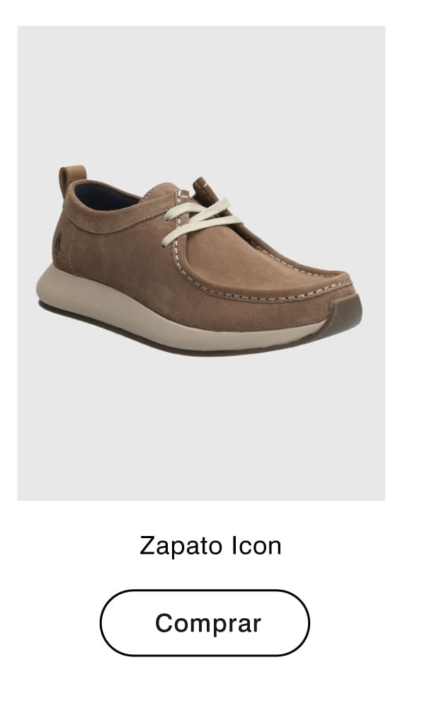 zapato icon