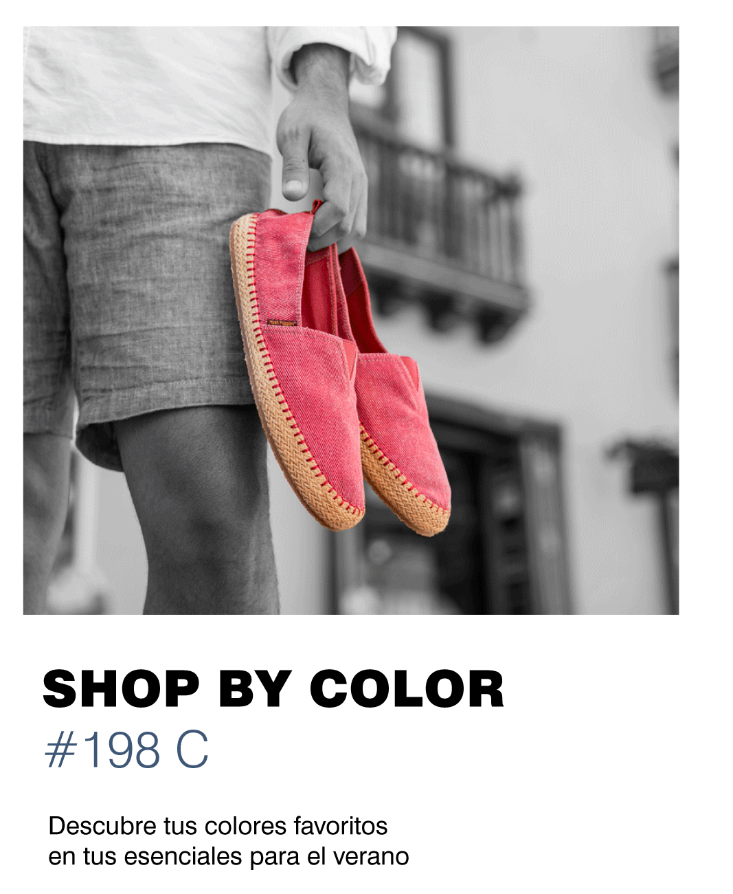 shop by color
