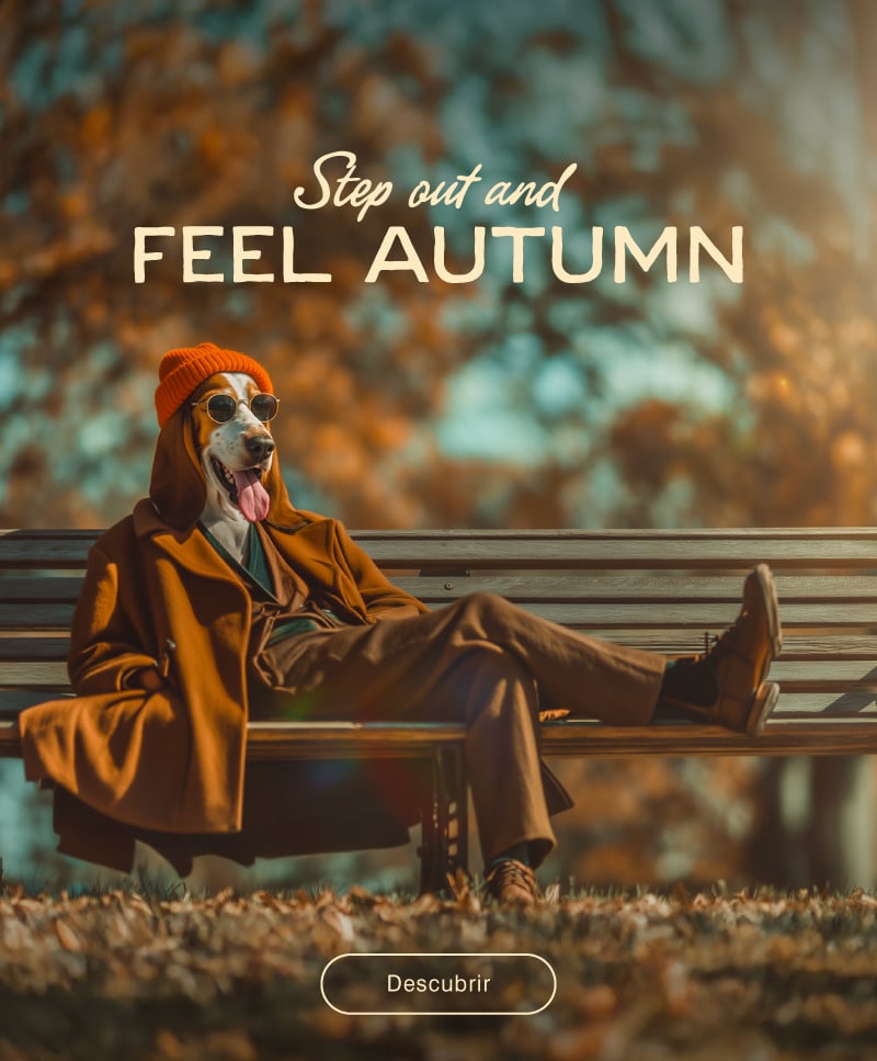 Step out and feel autumn